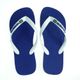 HAVAIANAS_BRASILLOGO_AZUL_3.JPG