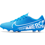 Chuteira Campo Nike - AT7968-414 - Flávio's Calçados