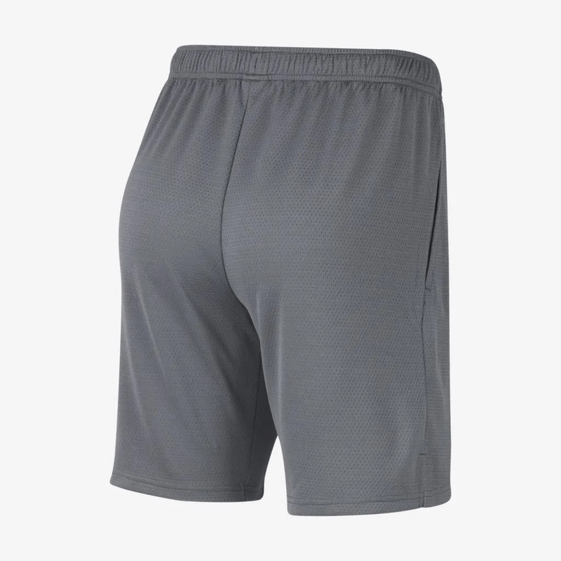 NIKE_CU4943-068_CINZ3
