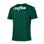 palmeiras-2
