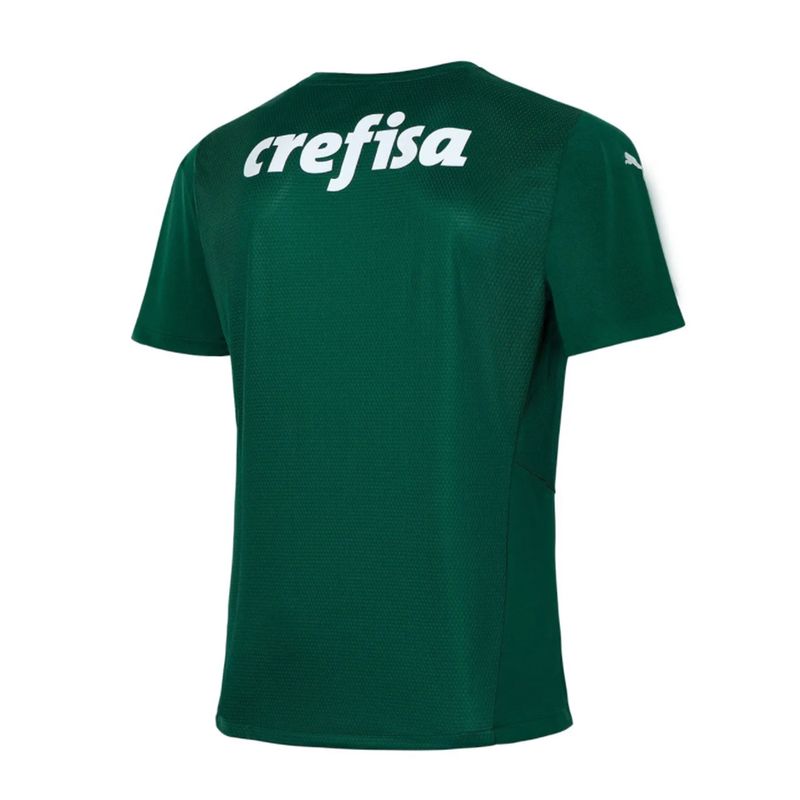 palmeiras-2