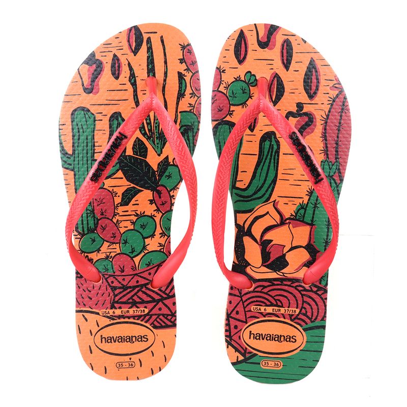 HAVAINAS_4147565_CORAL_3