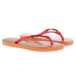 HAVAINAS_4147565_CORAL_2