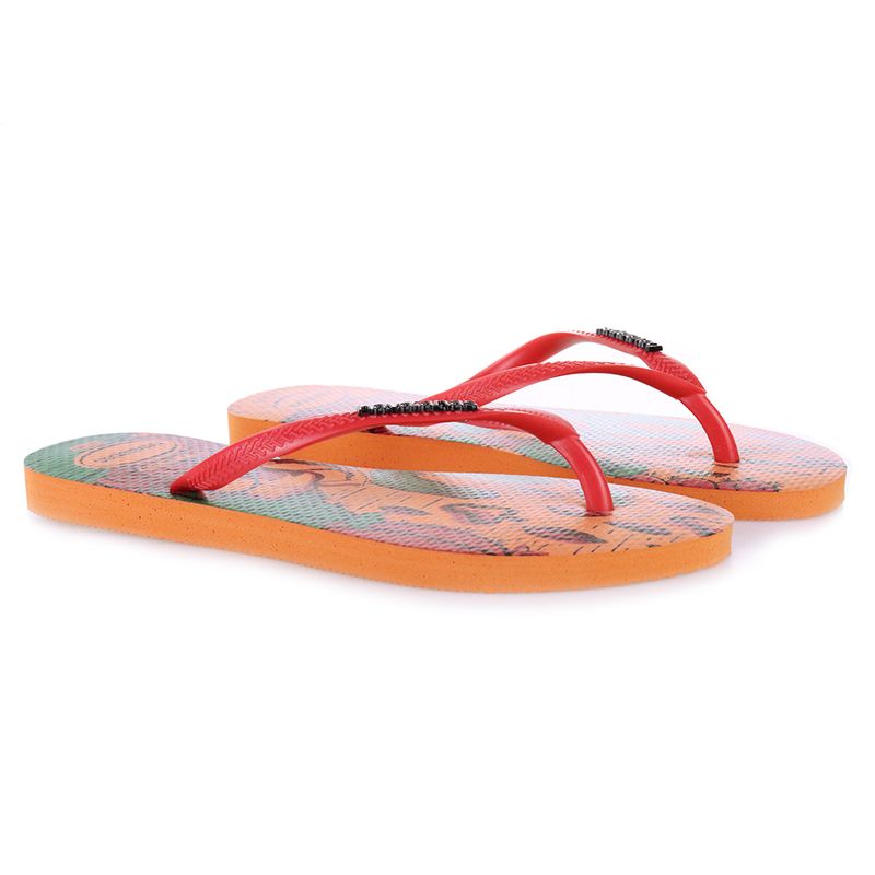 HAVAINAS_4147565_CORAL_2