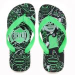 HAVAIANAS_4146091_PTVD_1
