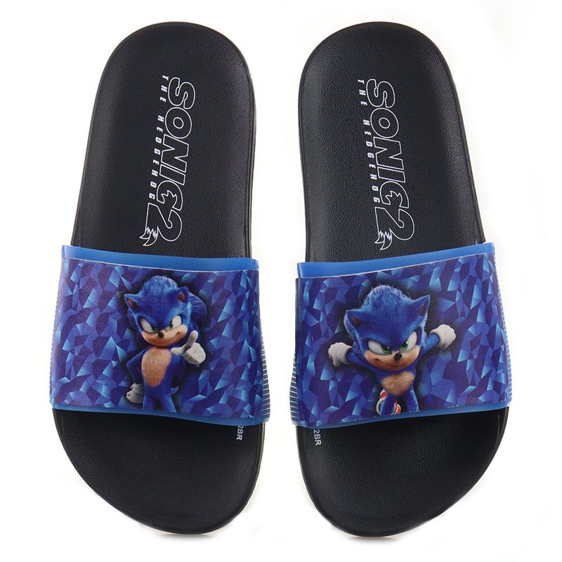 SONIC_22776-AH561_PTAZ_5