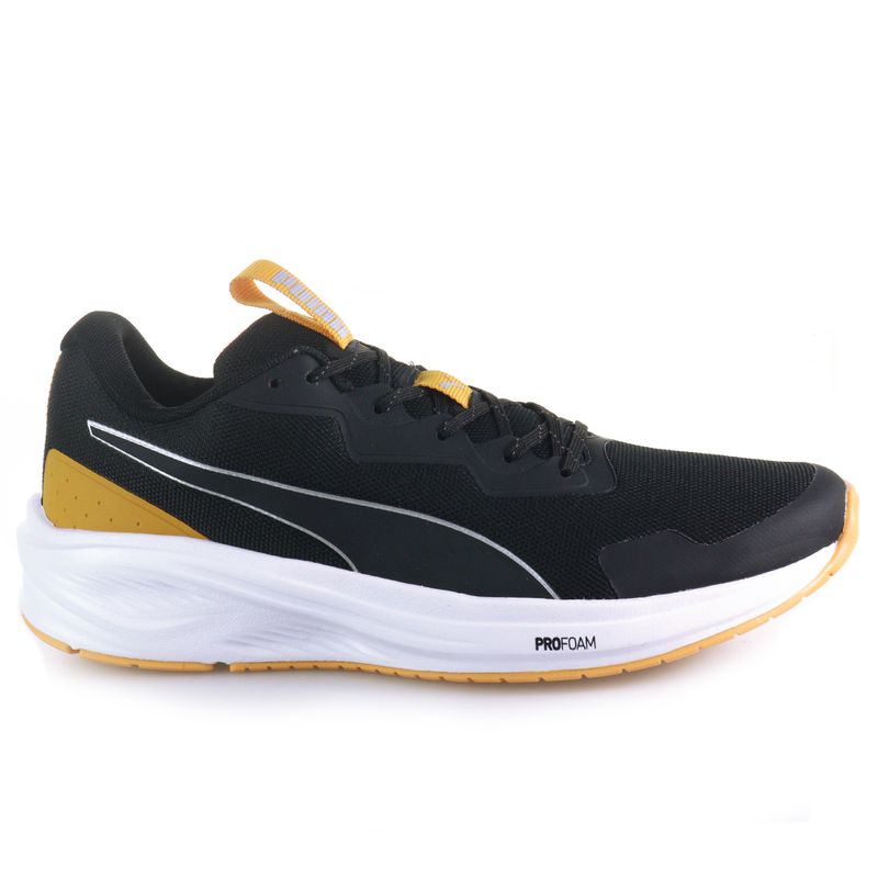 PUMA_376597_PTAM_2
