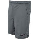 NIKE_DM5942-084_CINZ_