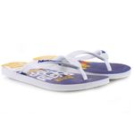 HAVAIANAS_4137889-7462_BRAZ_2