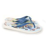 havaiana_4145125_whaz--1-