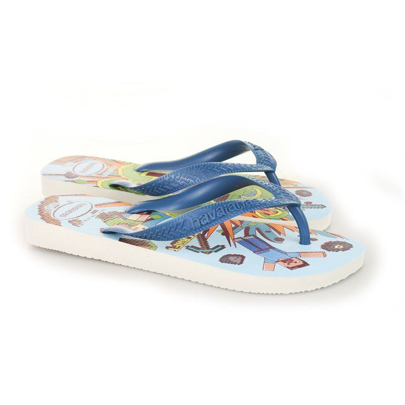 havaiana_4145125_whaz--1-