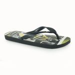 HAVAIANAS---4141348---Preto--2-