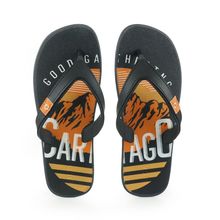 Chinelo Masculino Cartago - 10738-bi267