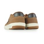OLLIE---CINTRA---CAMEL--6-
