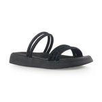 MOLECA---5469135---PT--2-