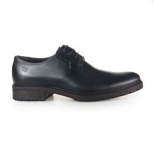 Sapato Masculino Casual Democrata - 301104-003