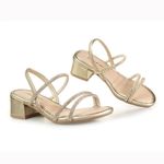 PINKCATS-V4994-CHAMPAGNE--6-.JPG